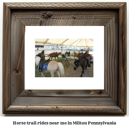 horse trail rides near me in Milton, Pennsylvania